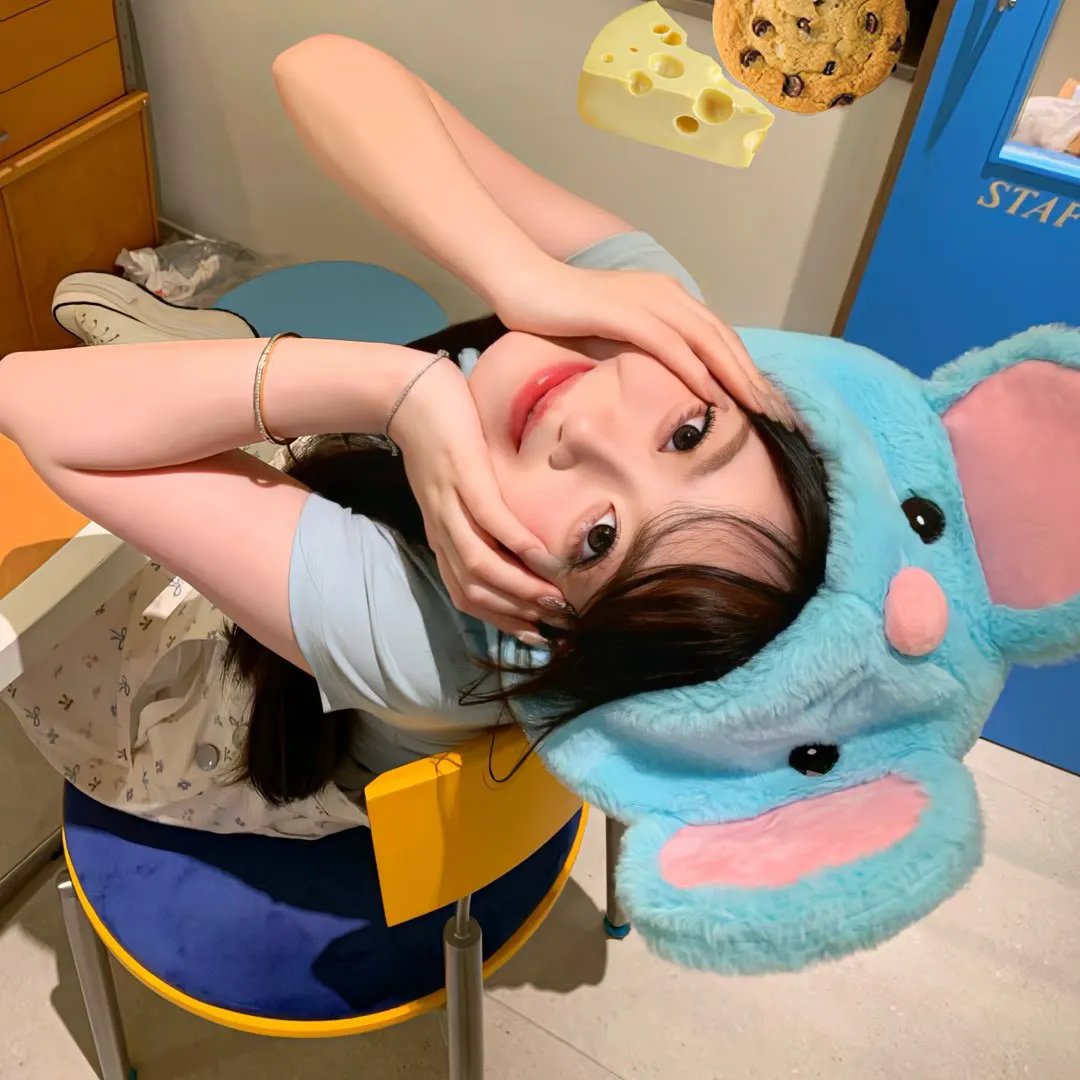 我家来了个小房客