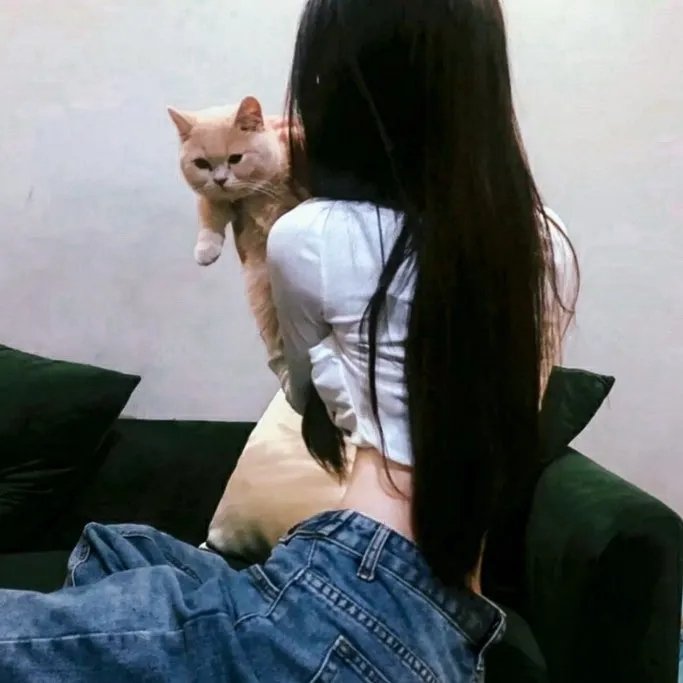 深宫春梦
